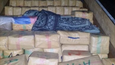 إحباط تهريب 17 طن من الشيرا بسواحل الصويرة (صور)
