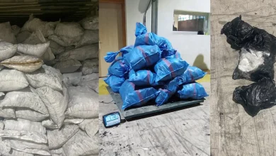 إحباط تهريب 514 كلغ من الكوكايين بميناء طنجة