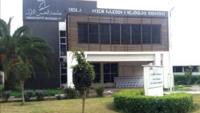 الميداوي ينهي مهام مدير المدرسة الوطنية للعلوم التطبيقية ببرشيد