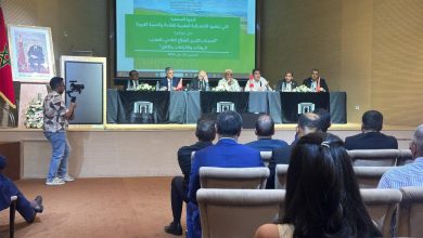بنعلي: آلاف الفلاحين استفادوا من دعم الدولة الموجه لزراعة الطماطم