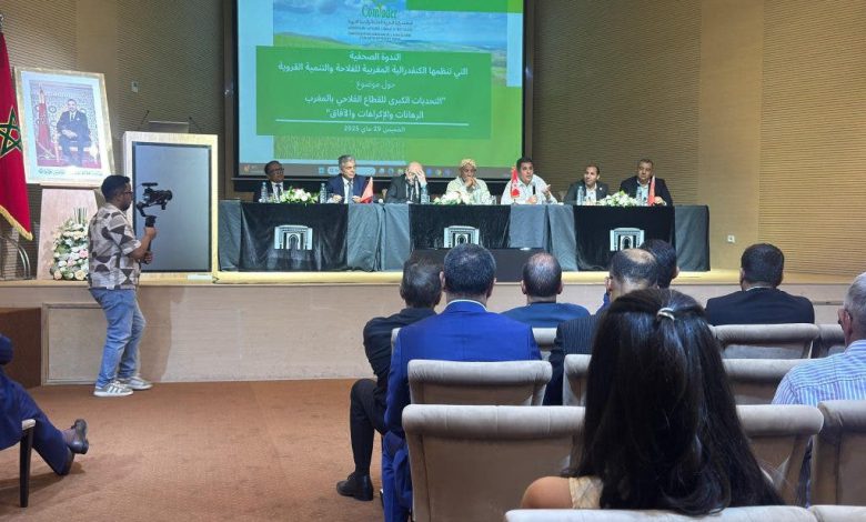 بنعلي: آلاف الفلاحين استفادوا من دعم الدولة الموجه لزراعة الطماطم