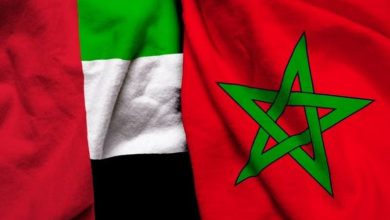 شراكة بقيمة 14 مليار دولار بين المغرب والامارات في مجالي الكهرباء وتحلية المياه