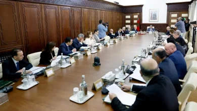 مجلس الحكومة يصادق على كيفيات تطبيق العقوبات البديلة