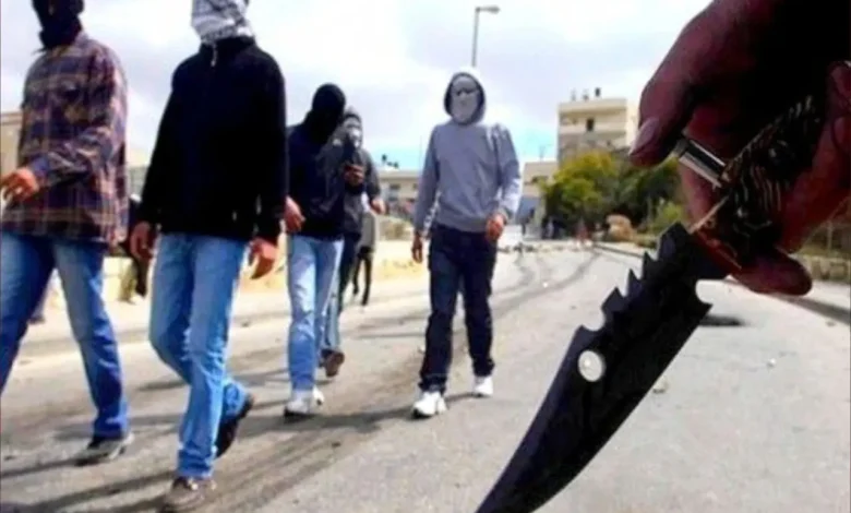 هجوم بالحجارة على سيارات مستعملي طريق الدريوش – بن طيب يثير الذعر
