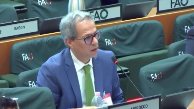 المغرب يجدد التزامه بدعم الدول النامية من خلال تعاون جنوب-جنوب فعال