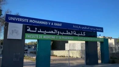 تحت رعاية وزيري الصحة والتعليم العالي.. تكريم روح البروفيسور علي الماعوني