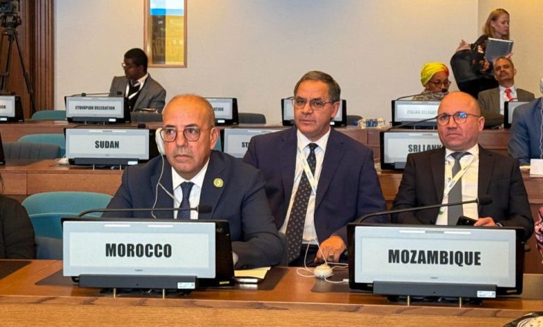المغرب يدعو بأديس أبابا إلى إحداث صندوق دولي مخصص للأمن الغذائي في إفريقيا(صور)