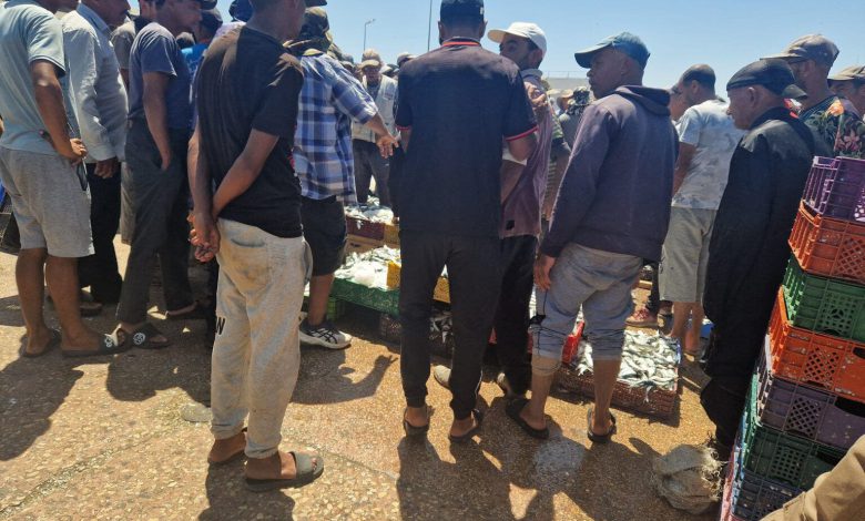 “الوسطاء” يشعلون أسعار السردين بميناء آسفي وسط احتجاجات المهنيين