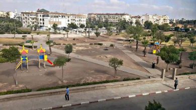 برشيد.. المساحات الخضراء تتحول لسواد و مجلس الجماعة في سبات عميق
