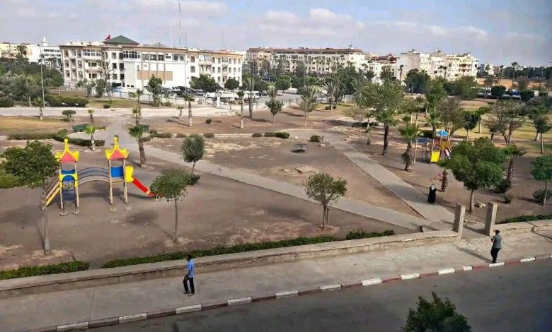 برشيد.. المساحات الخضراء تتحول لسواد و مجلس الجماعة في سبات عميق