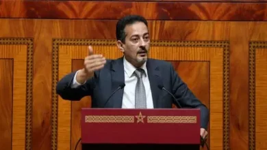 هشام المهاجري