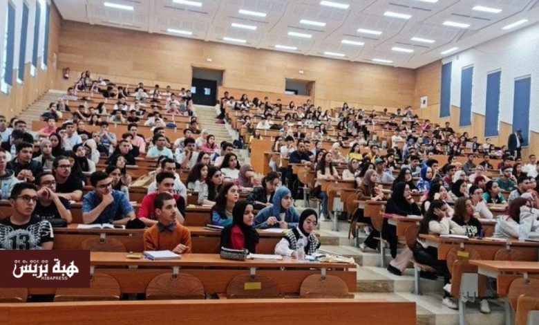الماستر العادي والماستر الميسر: ما الفرق بينهما؟