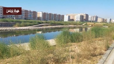 الناظور.. الملايين تصرف على المساحات الخضراء والنباتات الأصلية وحدها تنتصر