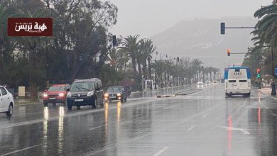 نشرة إنذارية: الأرصاد الجوية تحذر من زخات رعدية قوية في عدة مناطق